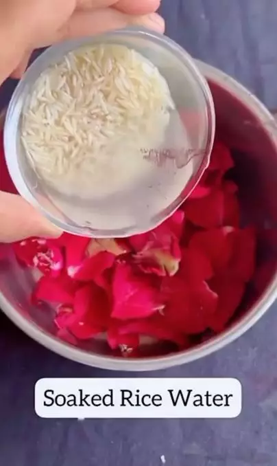 Cara mencerahkan kulit pakai day cream cuma butuh 1 jenis bunga Berbagai sumber Cara mencerahkan kulit pakai day cream cuma butuh 1 jenis bunga Berbagai sumber