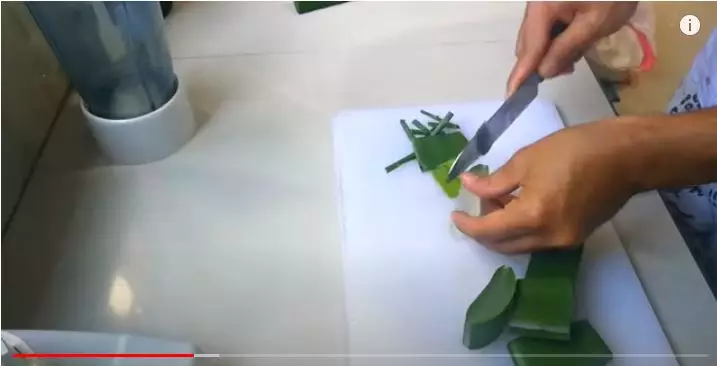 cara mudah membuat krim lidah buaya sendiri berbagai sumber