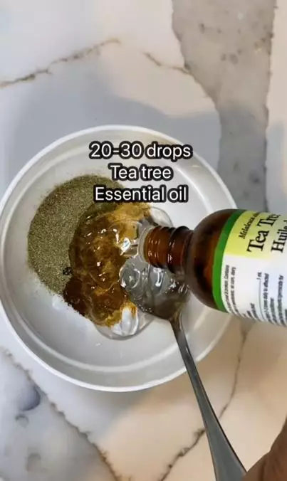 Trik menghilangkan kutu dan atasi ketombe hanya pakai 5 bahan alami Berbagai sumber Trik menghilangkan kutu dan atasi ketombe hanya pakai 5 bahan alami Berbagai sumber