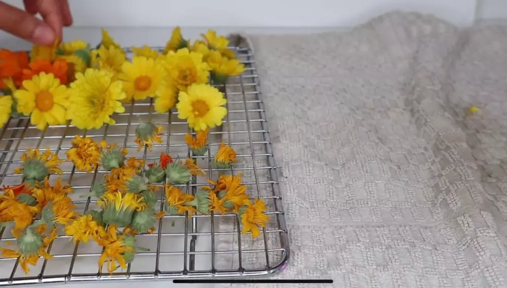 buat salep kulit © 2023 brilio.net