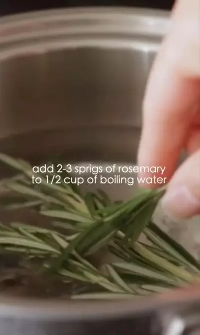 Trik membuat face toner pakai 1 jenis daun Berbagai sumber