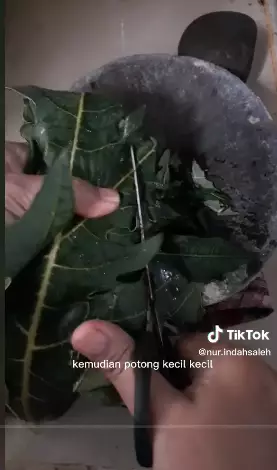  trik atasi uban berbagai sumber
