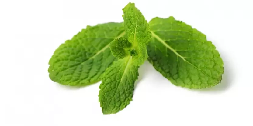 Cara memilih bahan sampo Istimewa