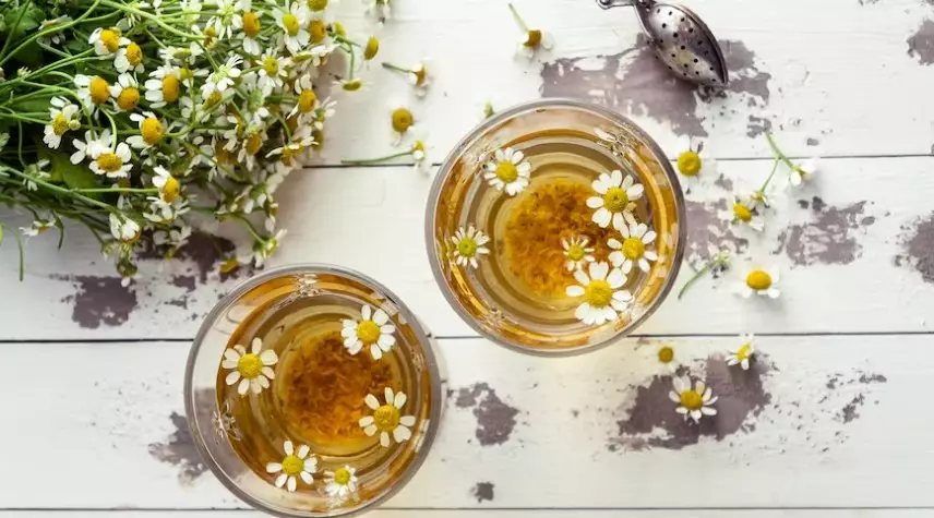 Cara memilih bahan sampo Istimewa