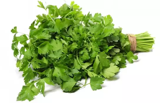 Cara menumbuhkan baby hair istimewa