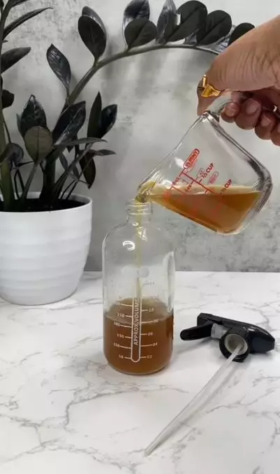 Cara atasi rambut rontok dan kering cuma pakai vitamin dari 1 jenis bunga Berbagai sumber