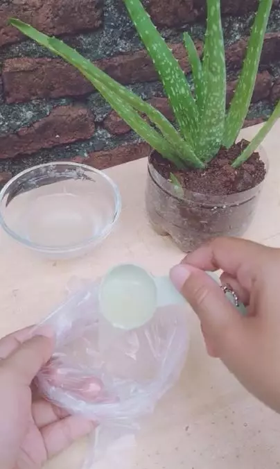 Trik membuat hand mask untuk lembutkan tangan pakai 1 bahan alami Berbagai sumber