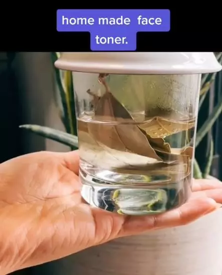 Cara membuat toner untuk bersihkan pori-pori hanya pakai 1 jenis daun Berbagai sumber