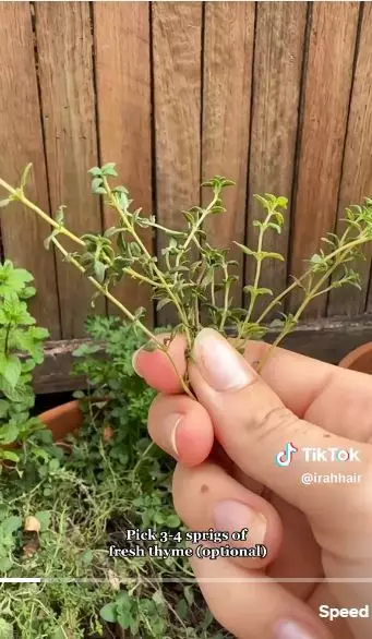 Trik atasi rambut patah hanya pakai 3 jenis daun berbagai sumber