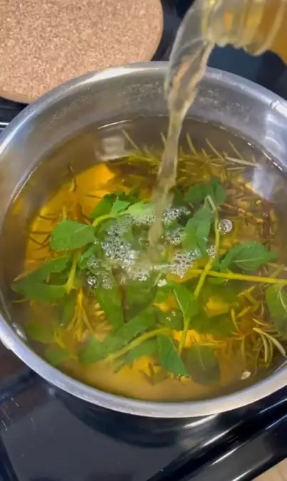 Cara mengatasi rambut rontok dan sulit tumbuh pakai hair spray dari 2 jenis daun Berbagai sumber