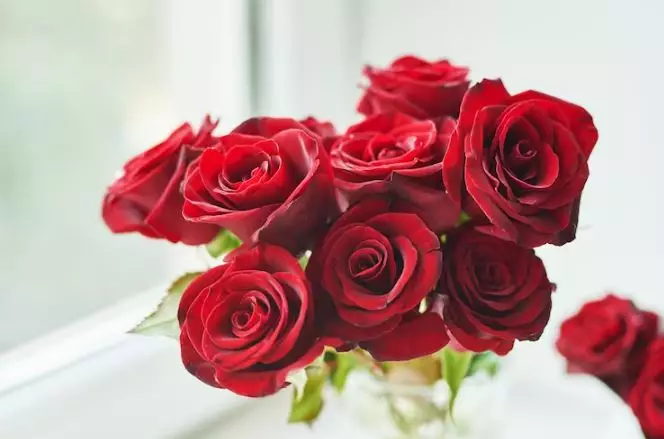 Trik lembapkan sekaligus glowingkan wajah pakai spray dari 1 jenis bunga Berbagai sumber Trik lembapkan sekaligus glowingkan wajah pakai spray dari 1 jenis bunga Berbagai sumber