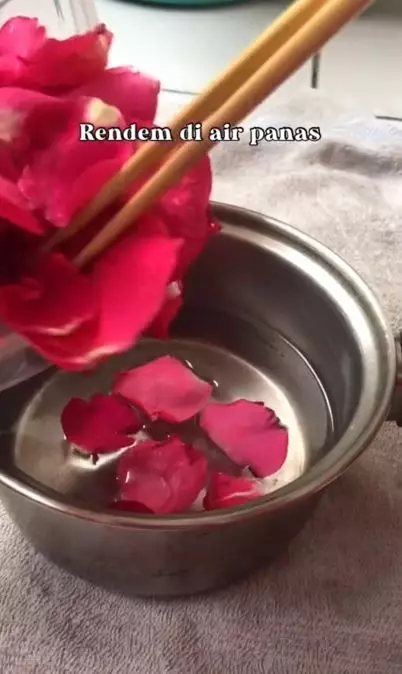 Trik lembapkan sekaligus glowingkan wajah pakai spray dari 1 jenis bunga Berbagai sumber Trik lembapkan sekaligus glowingkan wajah pakai spray dari 1 jenis bunga Berbagai sumber