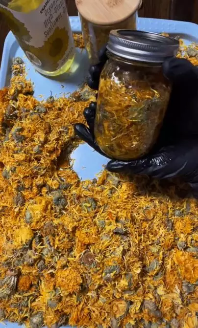 Trik kencangkan kulit keriput pakai face oil dari 1 jenis bunga Berbagai sumber Trik kencangkan kulit keriput pakai face oil dari 1 jenis bunga Berbagai sumber