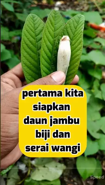  trik atasi wajah kusam hanya pakai 2 jenis rempah berbagai sumber