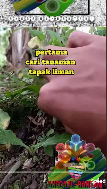  cara menghitamkan rambut beruban berbagai sumber