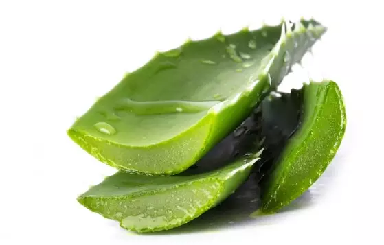 bahan alami ini bisa bikin rambut kasar jadi halus © berbagai sumber