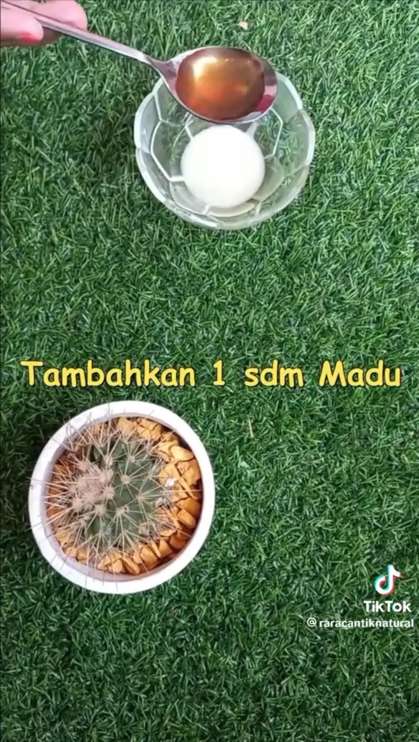 cara atasi keriput penuaan dini di wajah © berbagai sumber cara atasi keriput penuaan dini di wajah © berbagai sumber