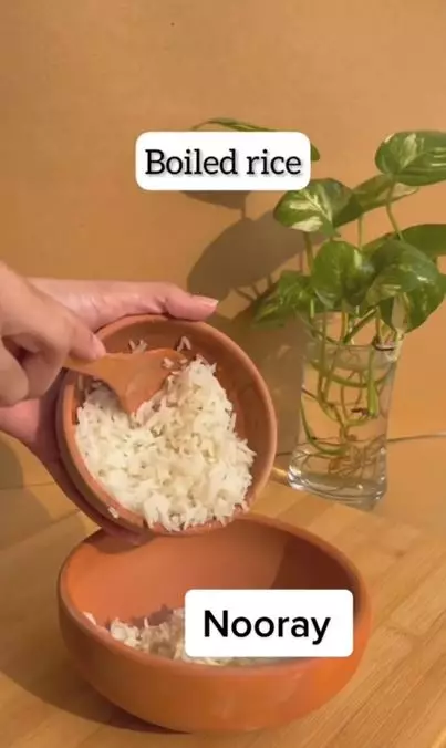 Cara memperkuat akar rambut agar bebas rontok pakai 1 bahan makanan Berbagai sumber Cara memperkuat akar rambut agar bebas rontok pakai 1 bahan makanan Berbagai sumber