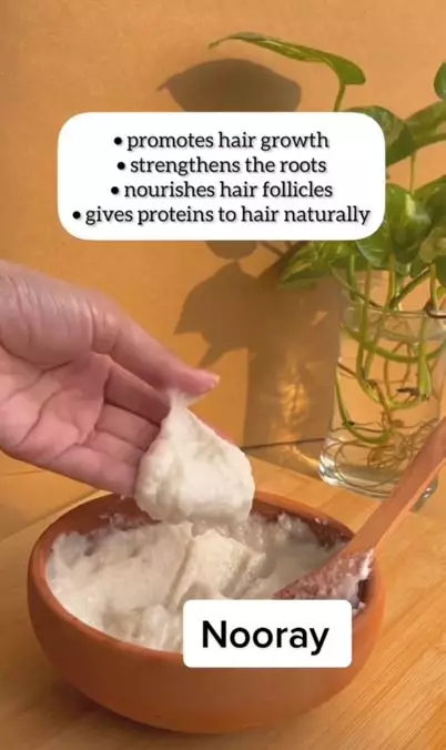 Cara memperkuat akar rambut agar bebas rontok pakai 1 bahan makanan Berbagai sumber Cara memperkuat akar rambut agar bebas rontok pakai 1 bahan makanan Berbagai sumber