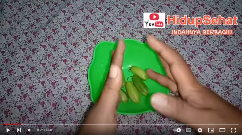  trik hilangkan panu di leher berbagai sumber