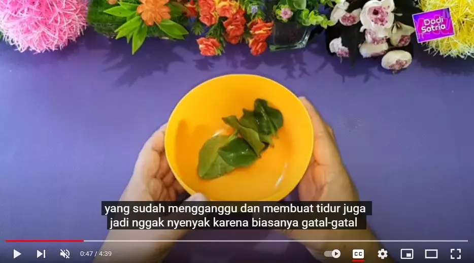 Trik redakan rasa gatal akibat kurap berbagai sumber Trik redakan rasa gatal akibat kurap berbagai sumber