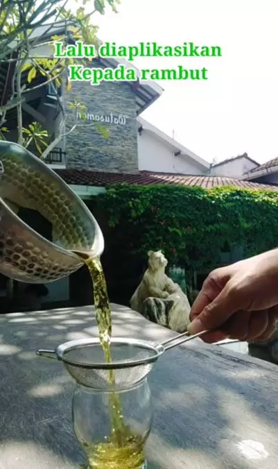 Cara mengatasi uban dan rambut kusam pakai hair tonic dari 1 jenis daun Berbagai sumber