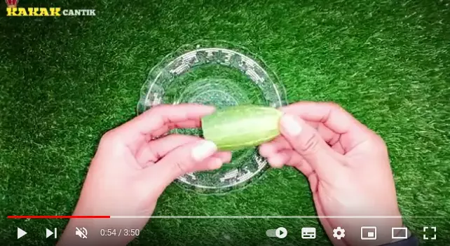 trik pudarkan kerutan dan garis halus berbagai sumber