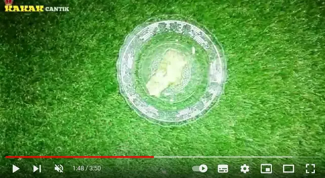 trik pudarkan kerutan dan garis halus berbagai sumber