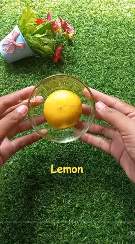 Atasi aroma menyengat pada kaki berbagai sumber  Atasi aroma menyengat pada kaki berbagai sumber