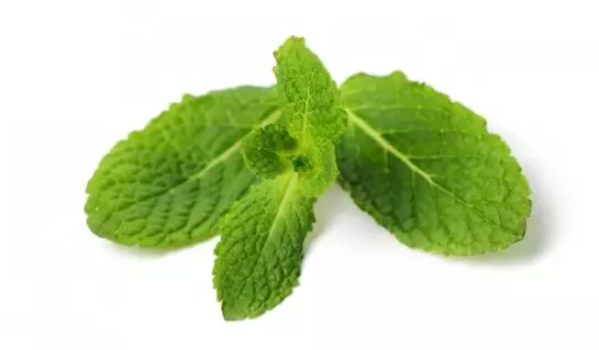 bahan alami ini bisa bantu atasi permasalahan bau © berbagai sumber