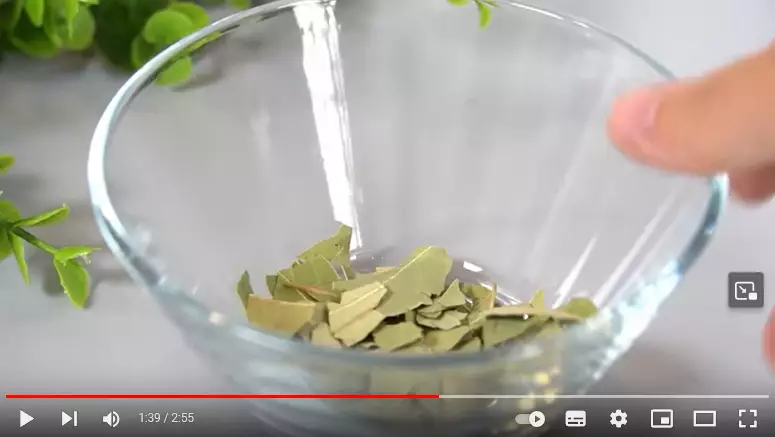 trik hilangkan jamur kuku kaki dan tangan berbagai sumber trik hilangkan jamur kuku kaki dan tangan berbagai sumber