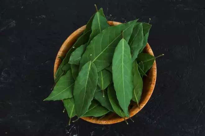 Trik menumbuhkan rambut rapuh dan tipis pakai hair oil dari 1 jenis daun Berbagai sumber