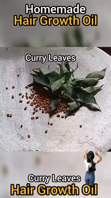 Trik menumbuhkan rambut rapuh dan tipis pakai hair oil dari 1 jenis daun Berbagai sumber