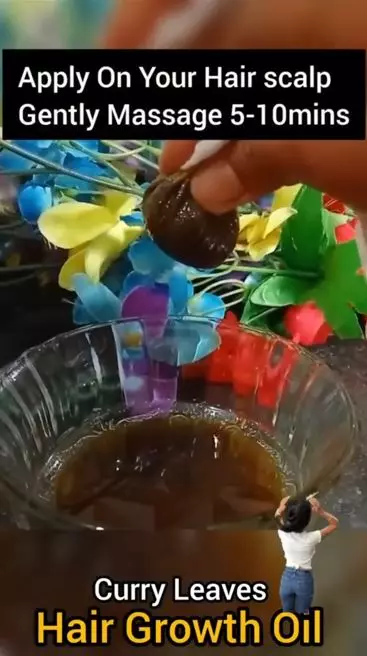 Trik menumbuhkan rambut rapuh dan tipis pakai hair oil dari 1 jenis daun Berbagai sumber