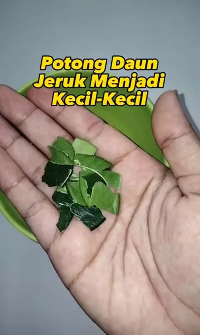 Trik hilangkan bau badan dan keringat berlebih pada ketiak pakai 1 jenis daun Berbagai sumber