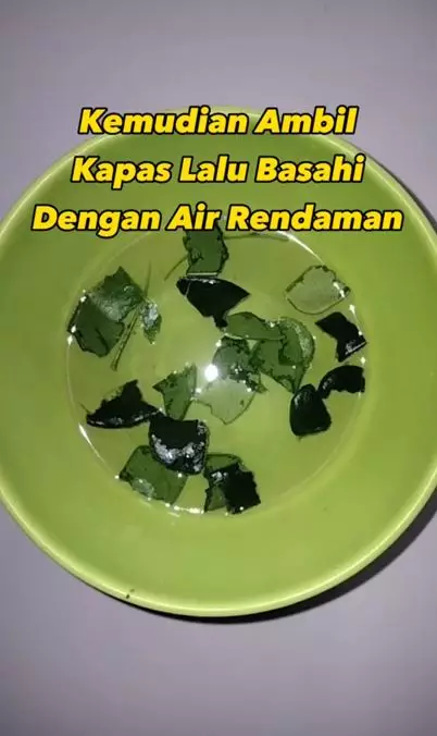 Trik hilangkan bau badan dan keringat berlebih pada ketiak pakai 1 jenis daun Berbagai sumber
