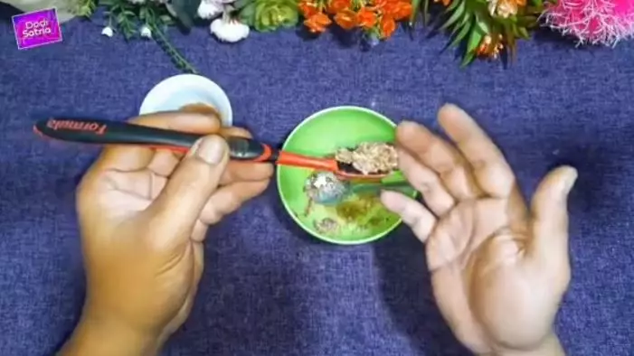 Trik menghilangkan karang gigi membandel pakai 2 jenis rempah Berbagai sumber