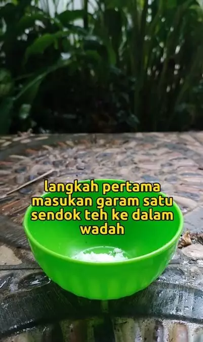 Trik memutihkan ketiak hitam dan berdaki pakai 1 bahan masakan Berbagai sumber