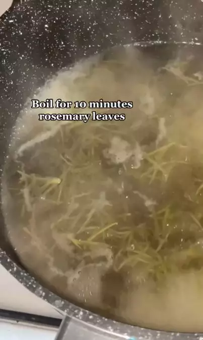 Trik melebatkan rambut susah tumbuh pakai serum dari 1 jenis daun Berbagai sumber