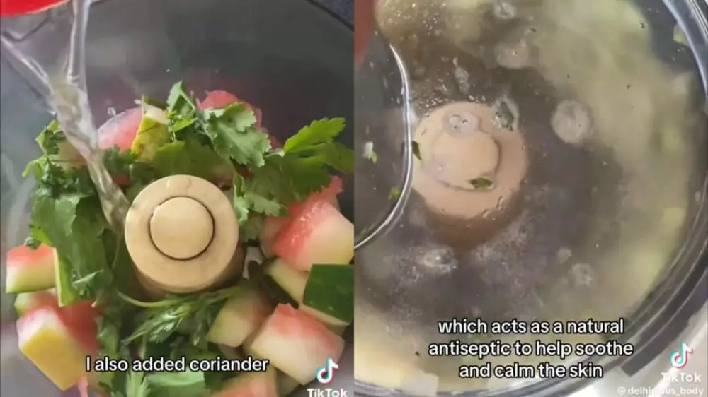 manfaatkan 1 sisa buah dan sayur © TikTok