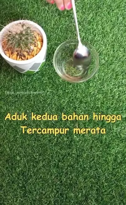 Trik menghaluskan tumit pecah-pecah pakai 2 jenis minyak Berbagai sumber Trik menghaluskan tumit pecah-pecah pakai 2 jenis minyak Berbagai sumber