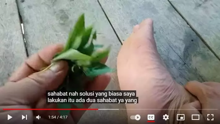 trik mengatasi gatal di telapak kaki berbagai sumber trik mengatasi gatal di telapak kaki berbagai sumber