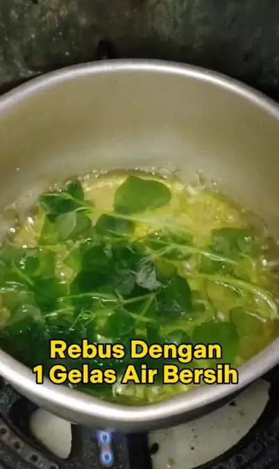 Trik hempaskan flek hitam pakai toner dari 1 jenis tanaman herbal Berbagai sumber