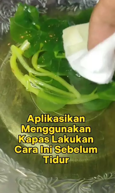 Trik hempaskan flek hitam pakai toner dari 1 jenis tanaman herbal Berbagai sumber