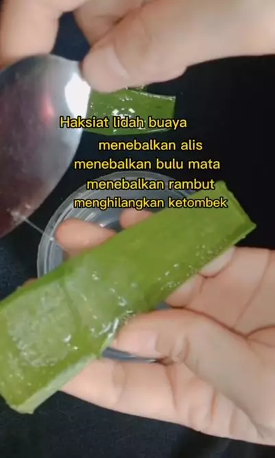 Trik melebatkan alis pakai 1 jenis tanaman herbal Berbagai sumber