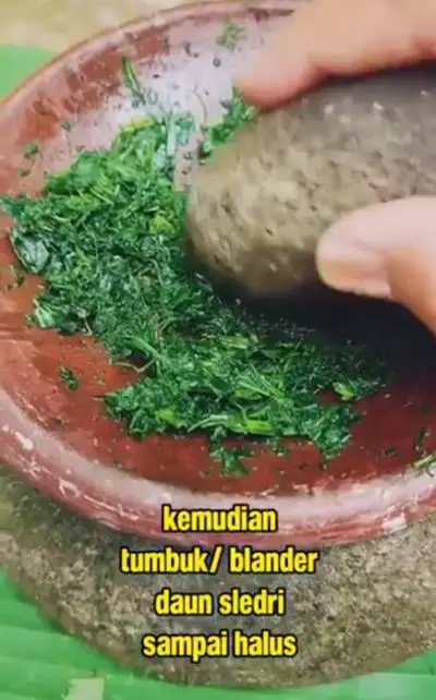 Cara lebatkan rambut tipis dan hitamkan uban pakai 1 jenis daun Berbagai sumber Cara lebatkan rambut tipis dan hitamkan uban pakai 1 jenis daun Berbagai sumber