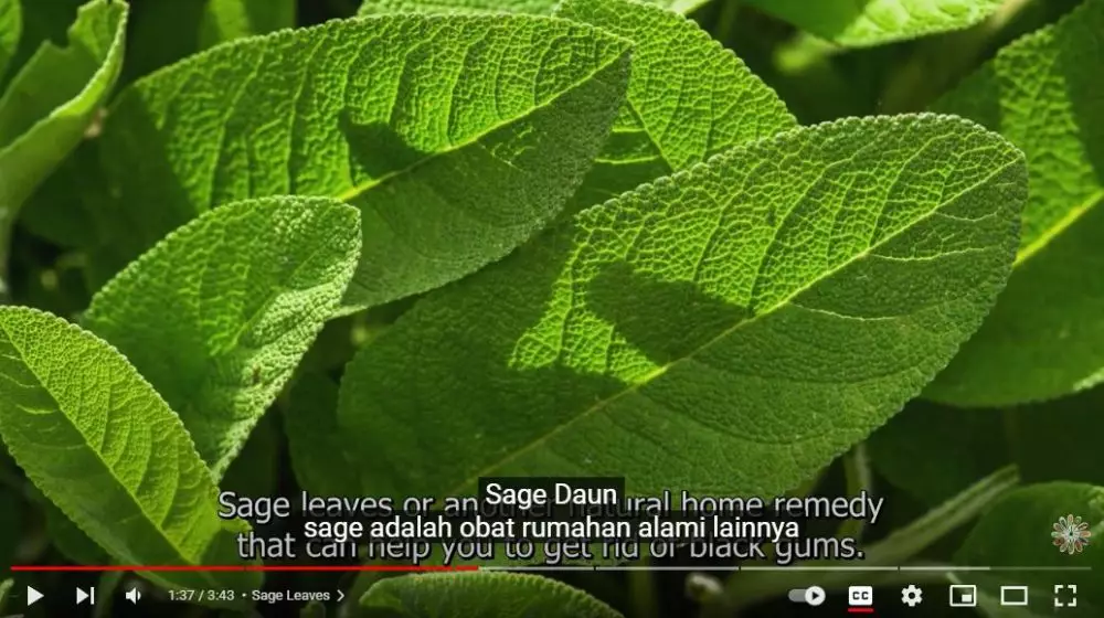 trik hilangkan gusi menghitam berbagai sumber trik hilangkan gusi menghitam berbagai sumber