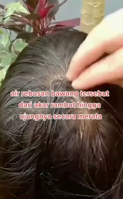 Trik memanjangkan rambut cuma butuh 1 jenis bumbu dapur Berbagai sumber