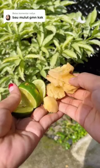 Trik mengatasi plak dan bau mulut pakai 1 jenis rempah dapur Berbagai sumber