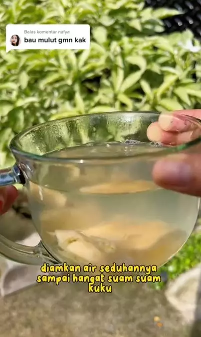 Trik mengatasi plak dan bau mulut pakai 1 jenis rempah dapur Berbagai sumber